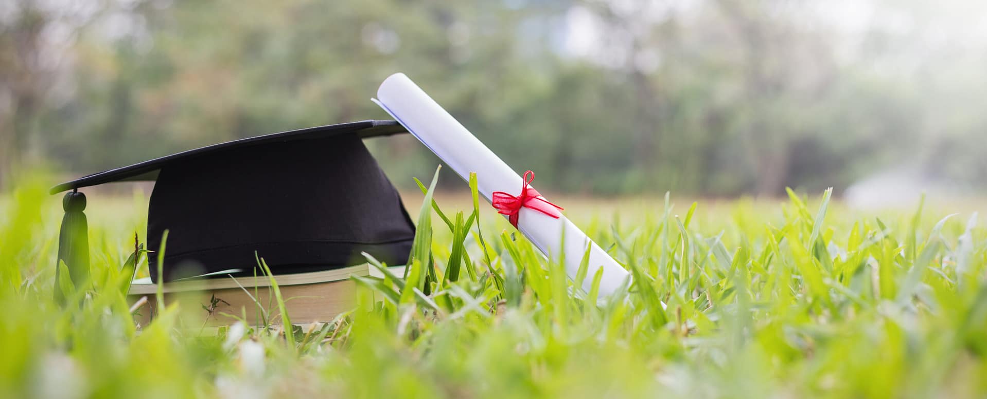 certificate-paper-and-black-cap-on-green-grass-spr-2026-03-26-03-34-27-utc